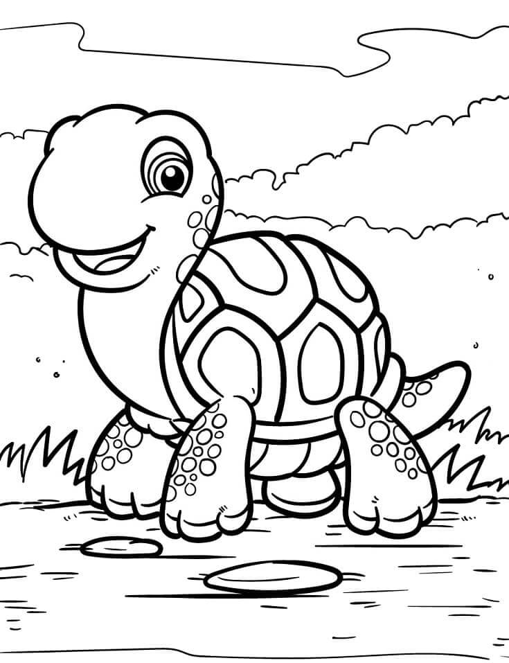 Adorable Tortuga