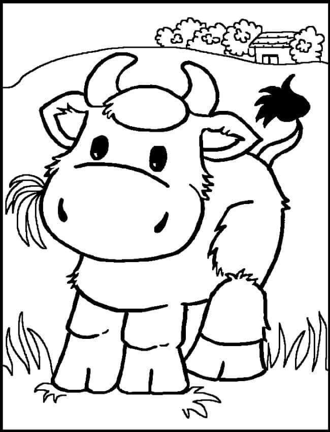 Adorable Vaca