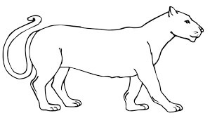 Agradable Puma