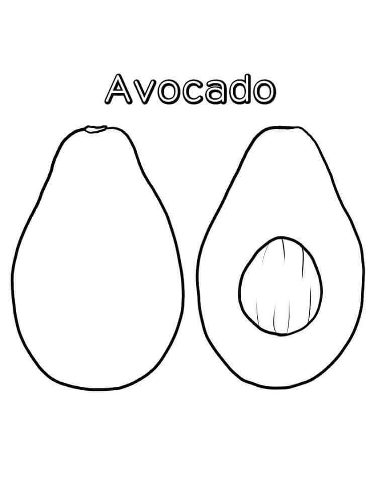 Palta