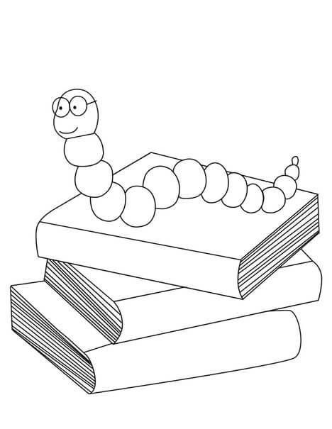 Amamos Los Libros