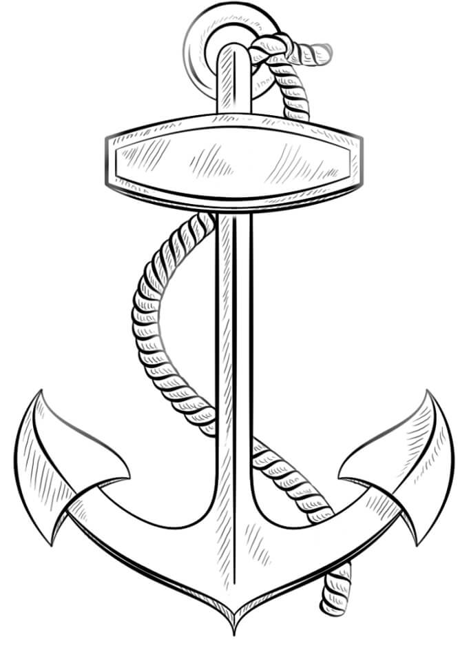 Anclaje de Dibujo Básico
