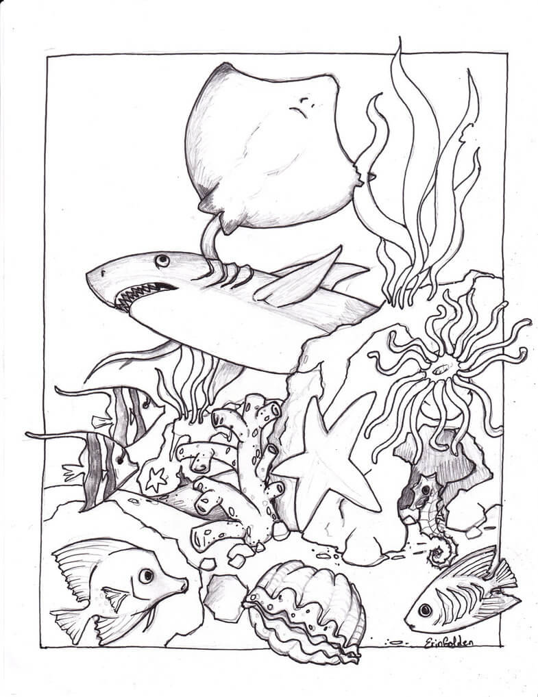 Animal Marino Imprimible