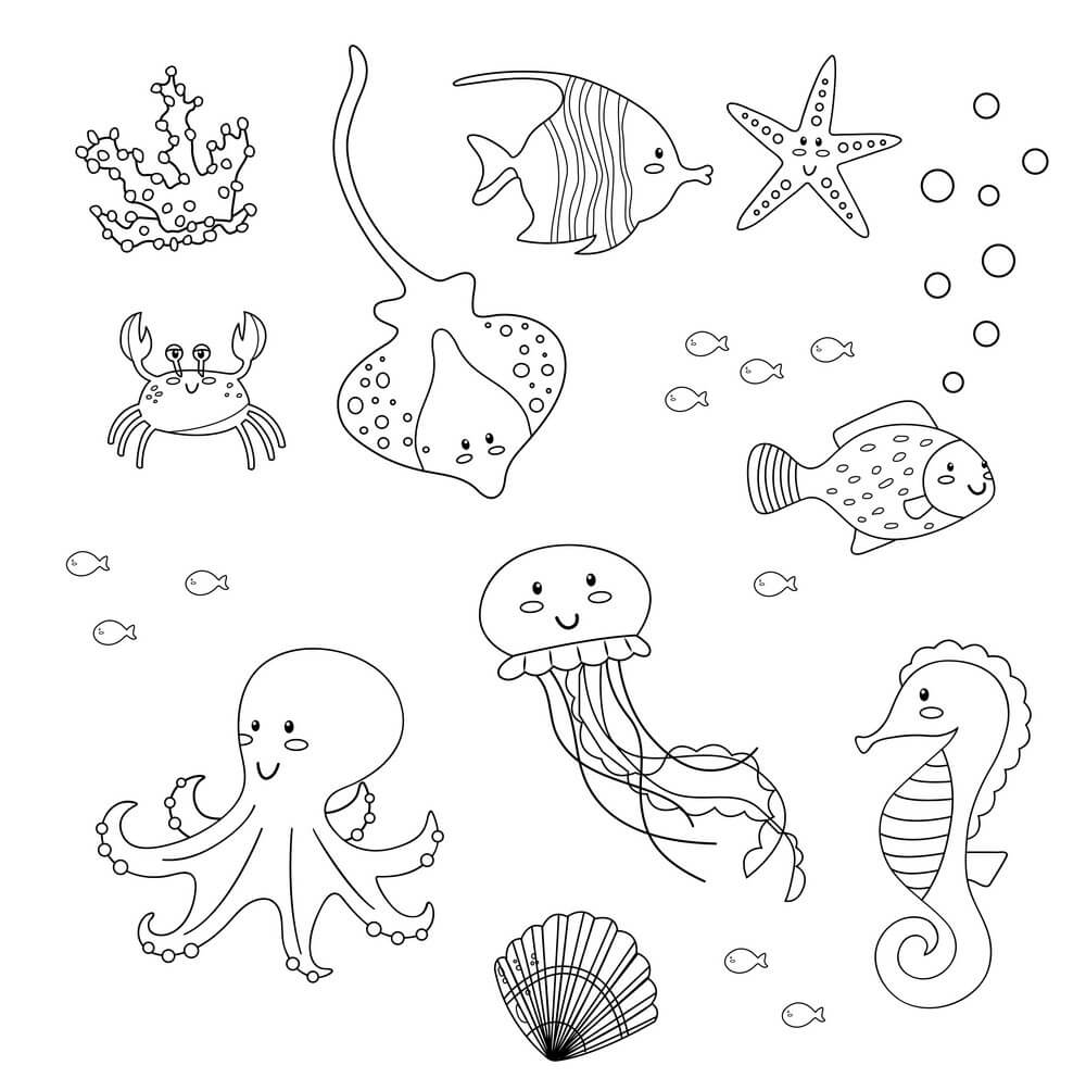 Animal Marino Normal
