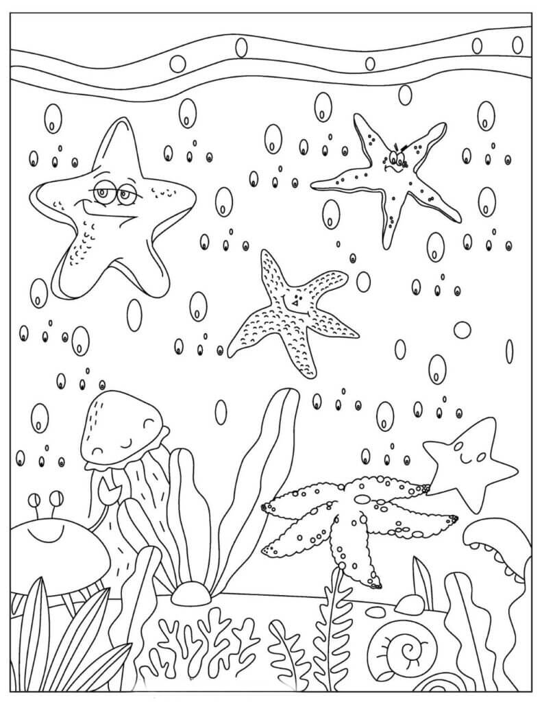Animal de Foca
