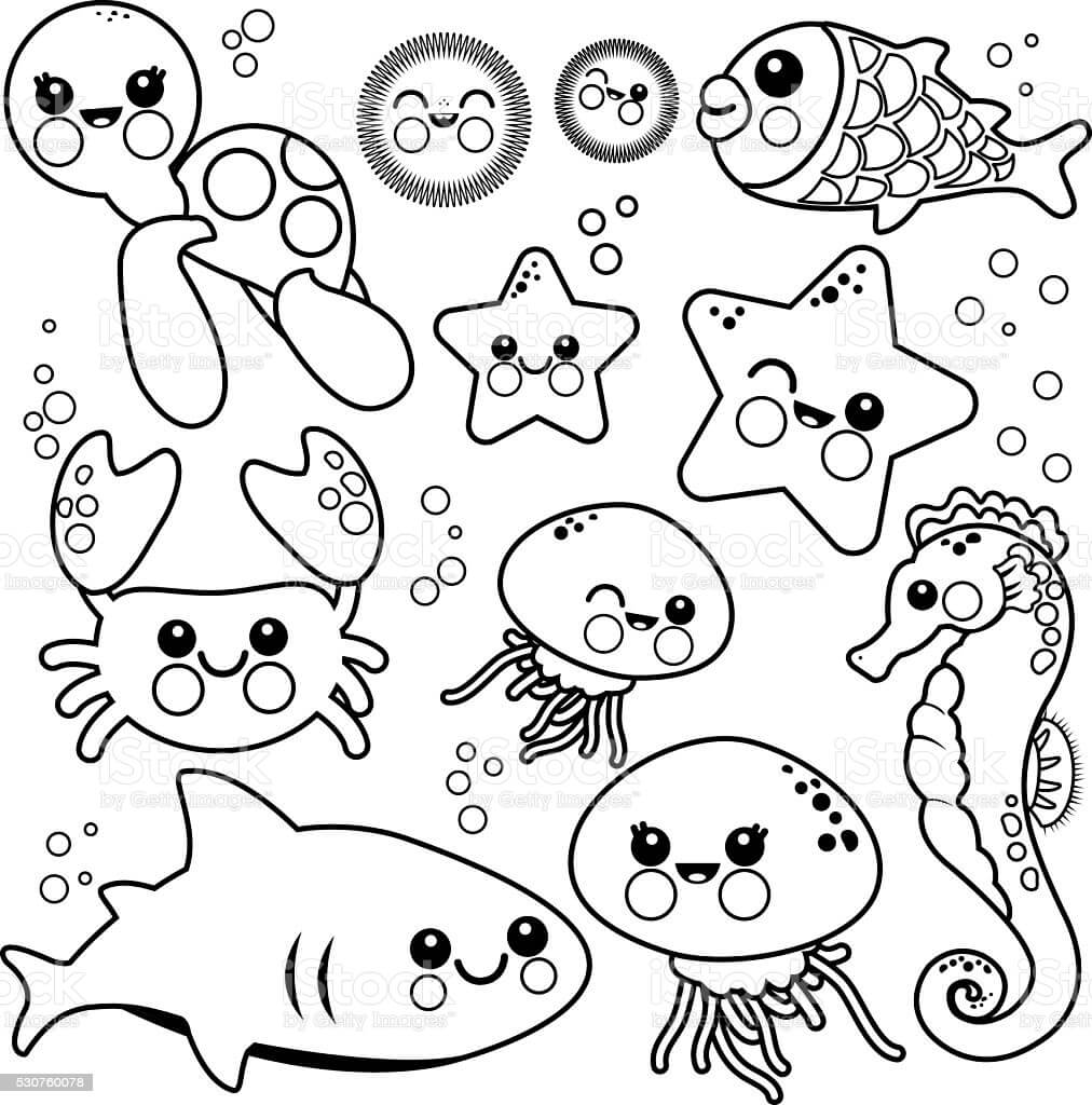 Animales Marinos Impresionantes