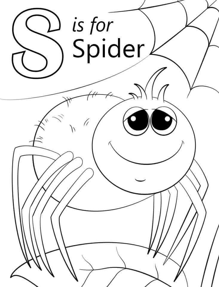 Araña Letra S