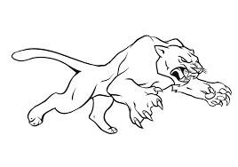 Ataque de Puma