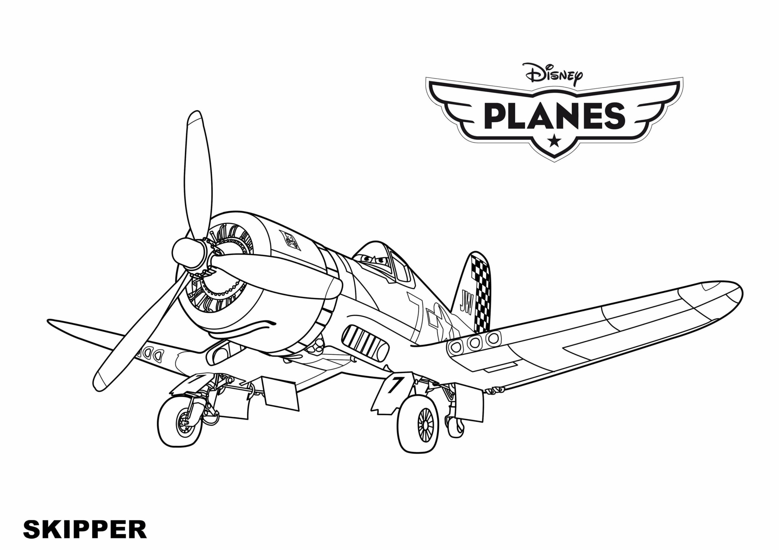 Aviones Skipper
