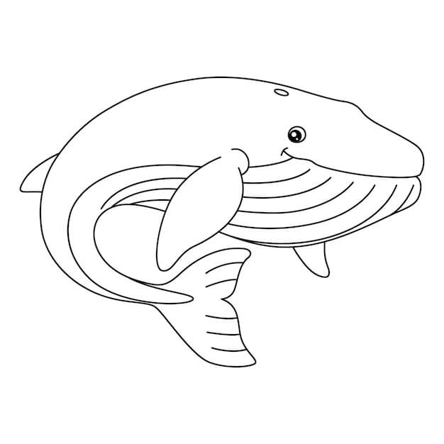 Ballena Adorable