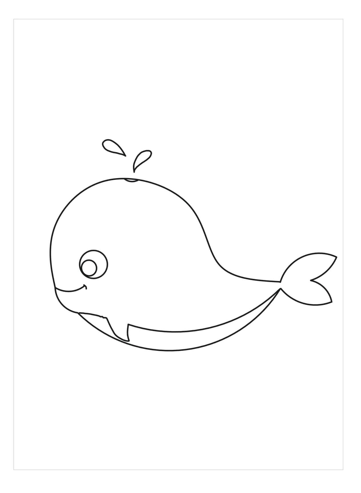 Ballena Bonita