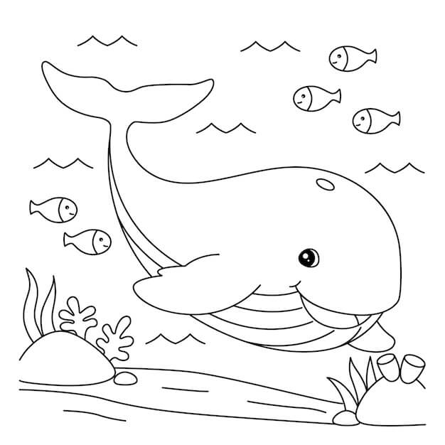 Ballena Divertida con tres Peces