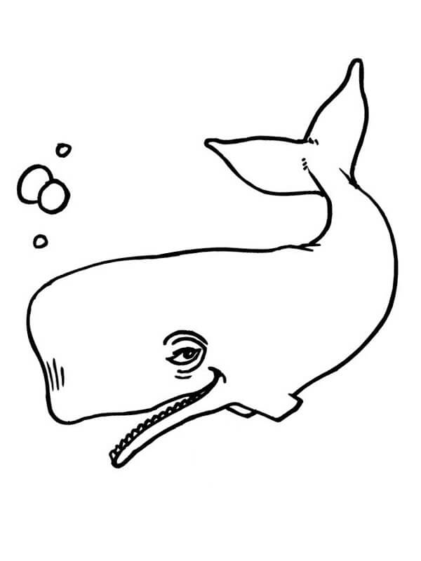Ballena Divertida