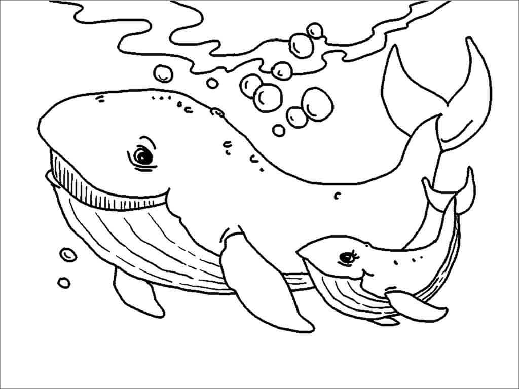 Ballena Madre y Ballena Bebé