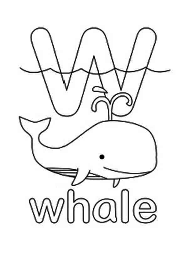Ballena Nadando Letra W