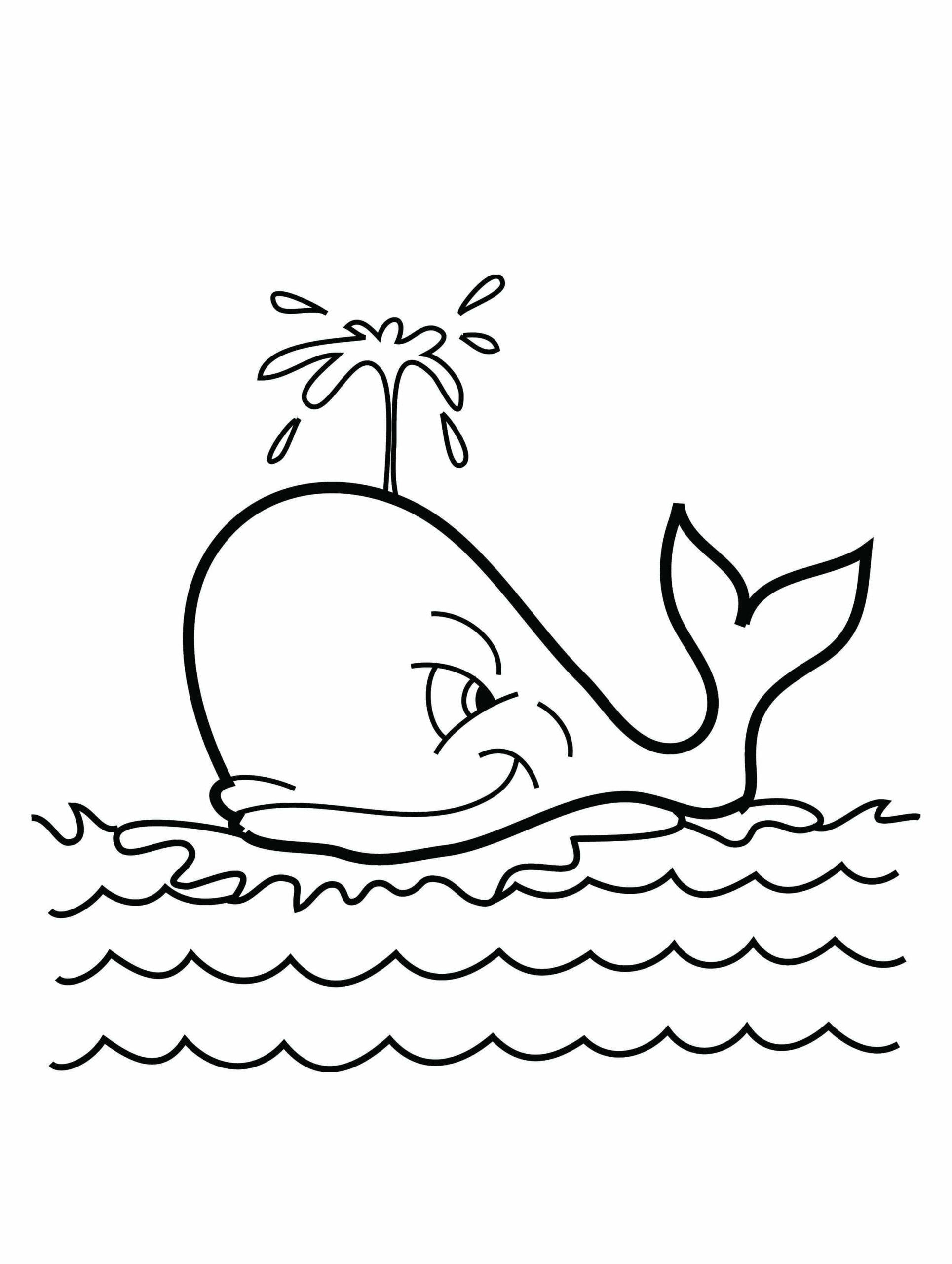 Ballena Normal