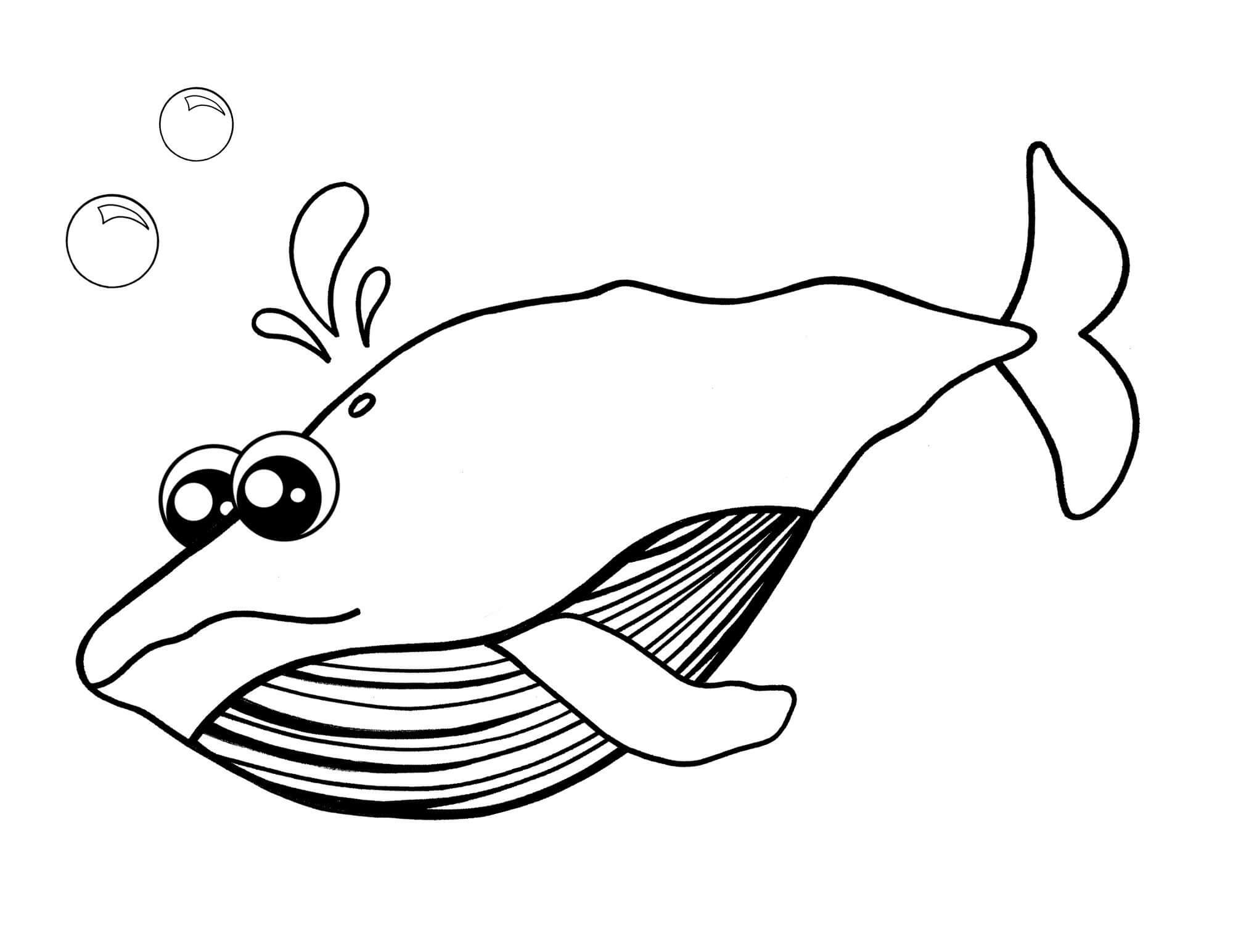 Ballena Perfecta