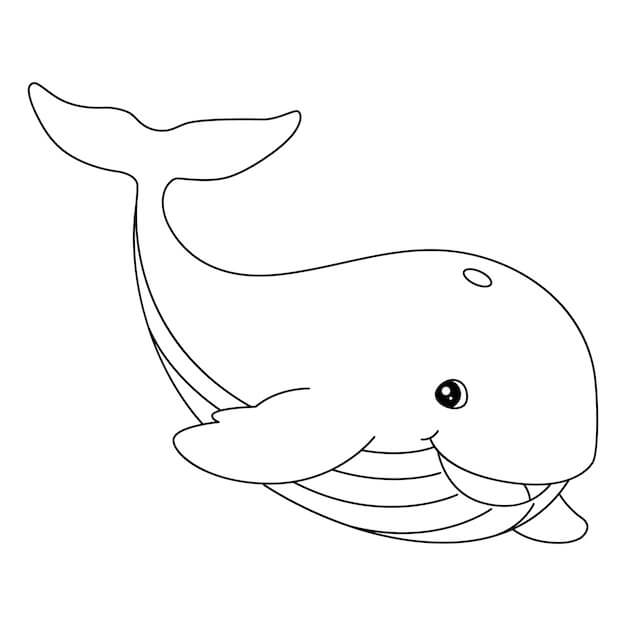 Ballena de la Diversión
