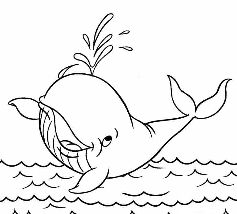 Ballena en Mar