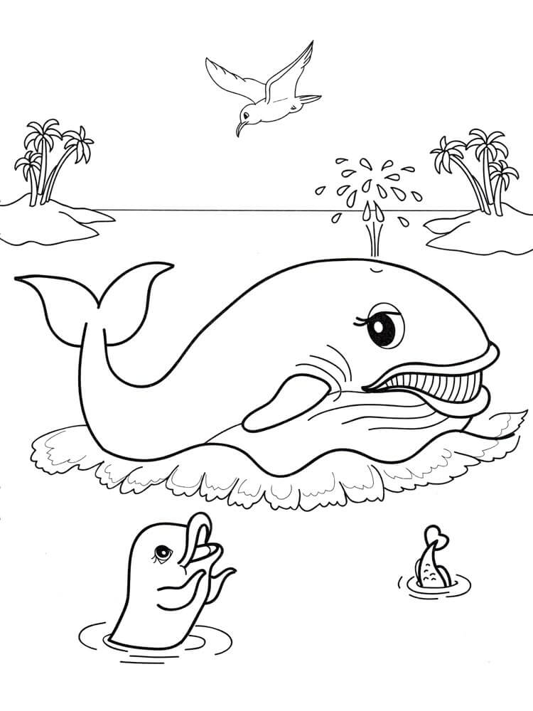 Ballena y Animal Marino
