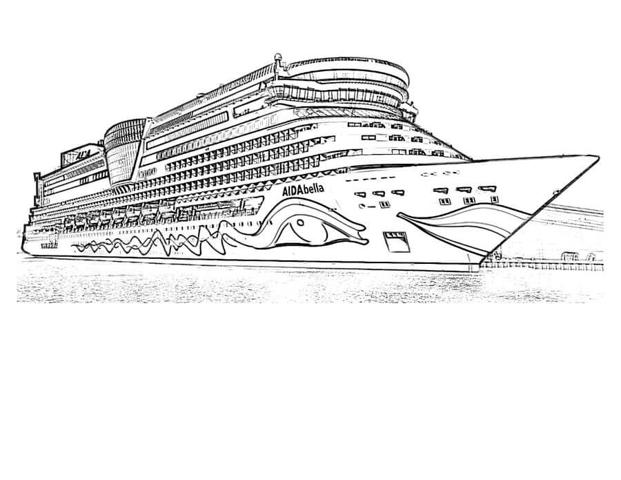 Barco Adulto