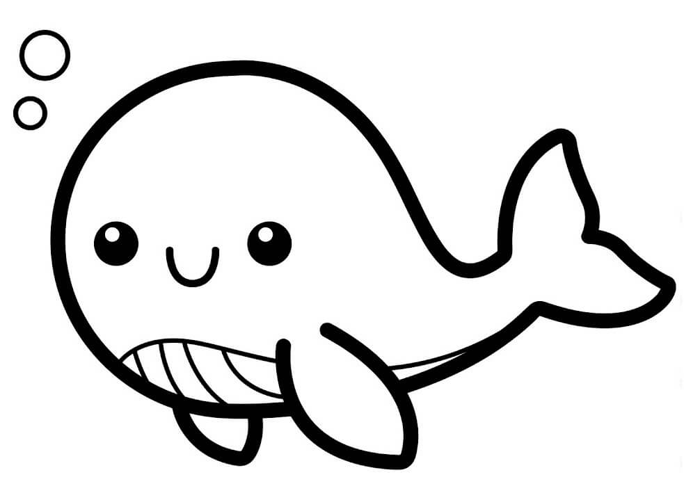 Bebé Ballena