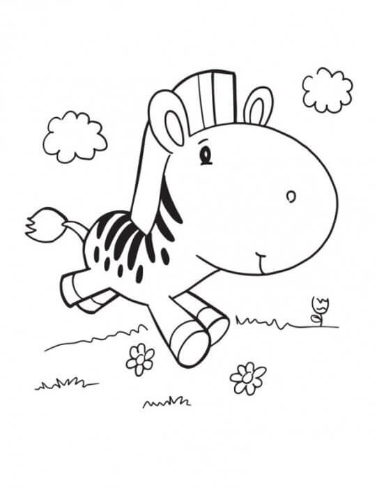 Bebé Cebra Corriendo