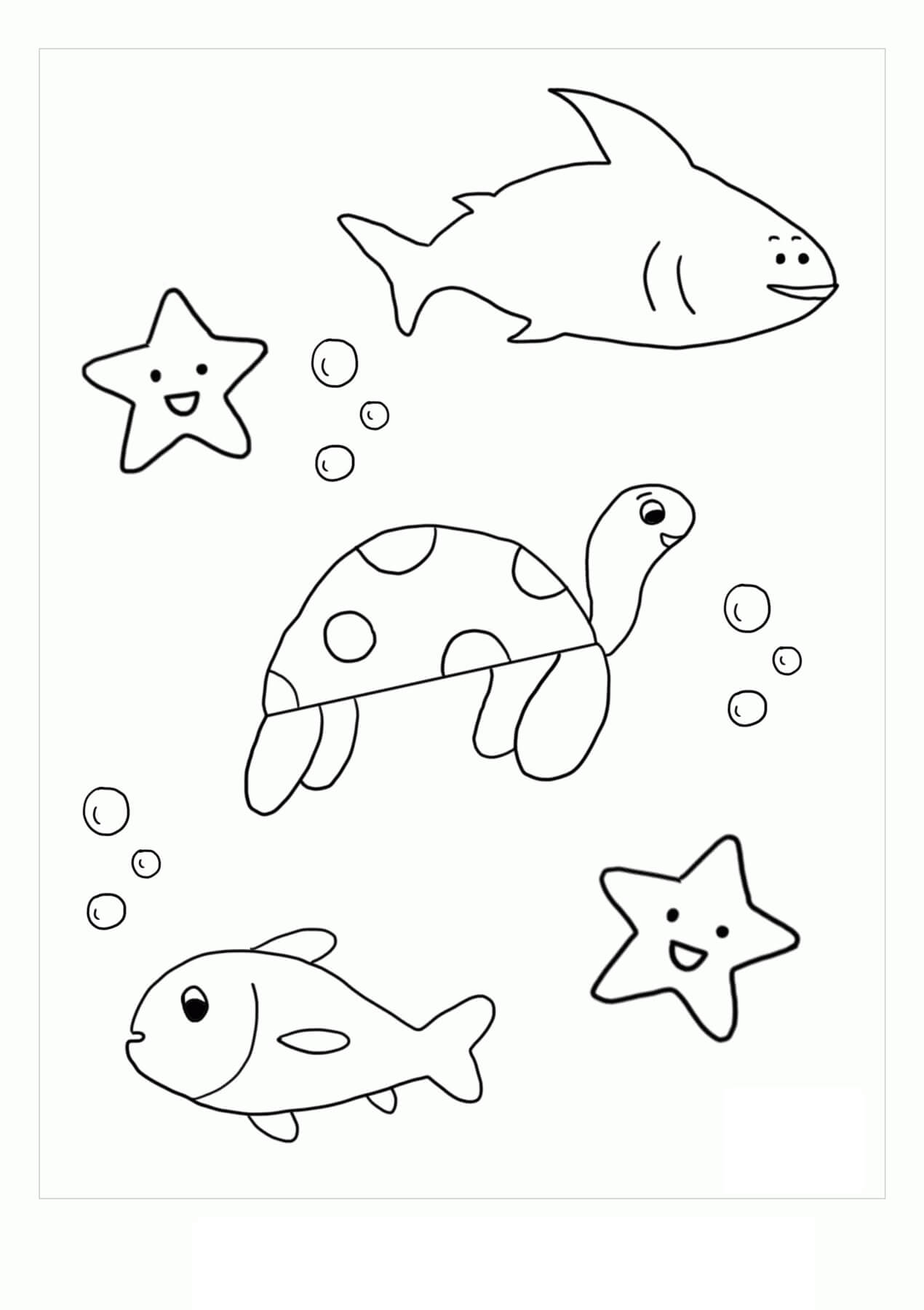 Bebé Animal Marino