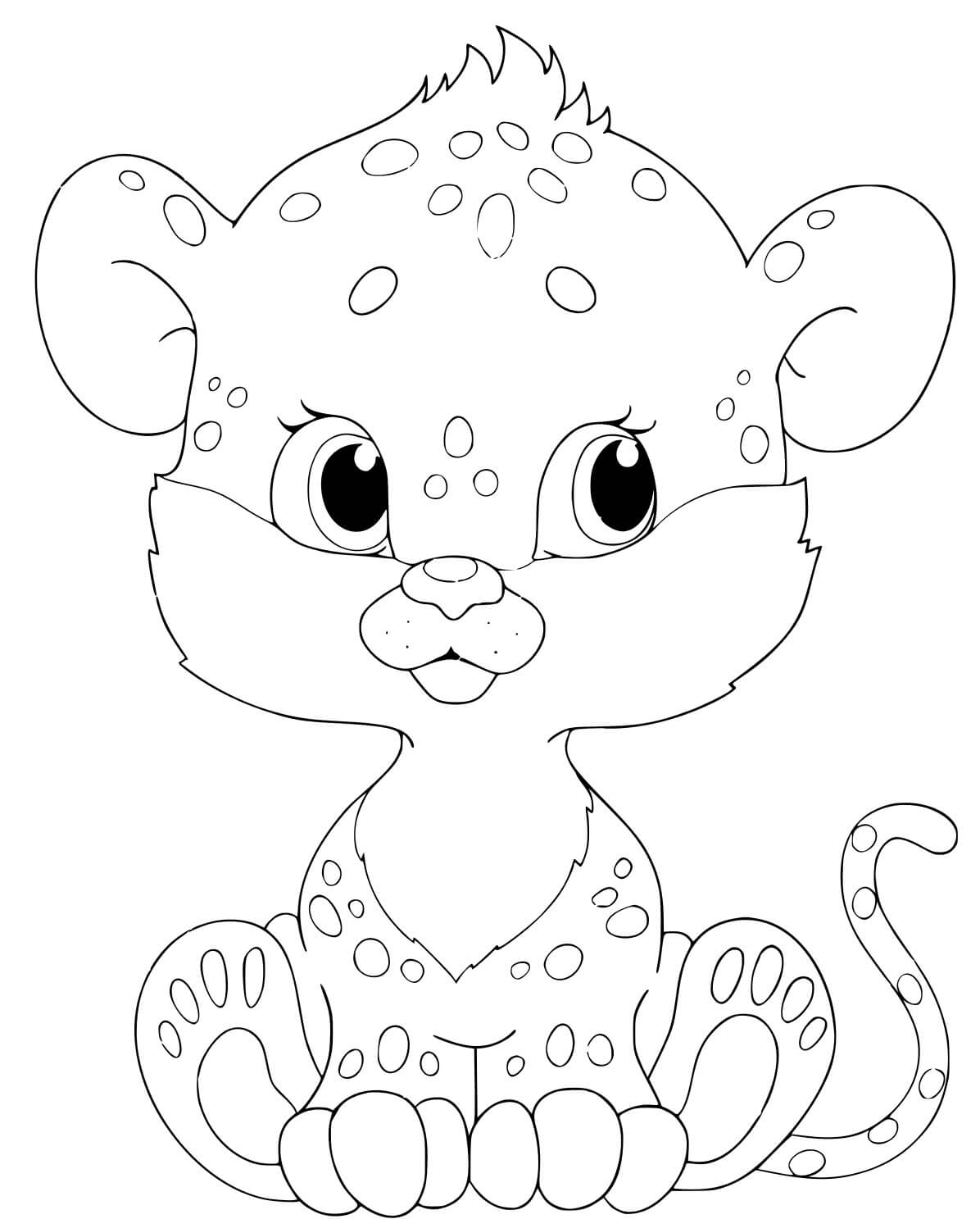 Bebé Leopardo Sentado
