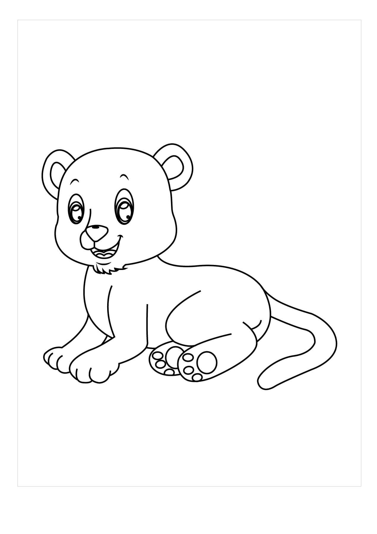 Bebé Puma Sentado