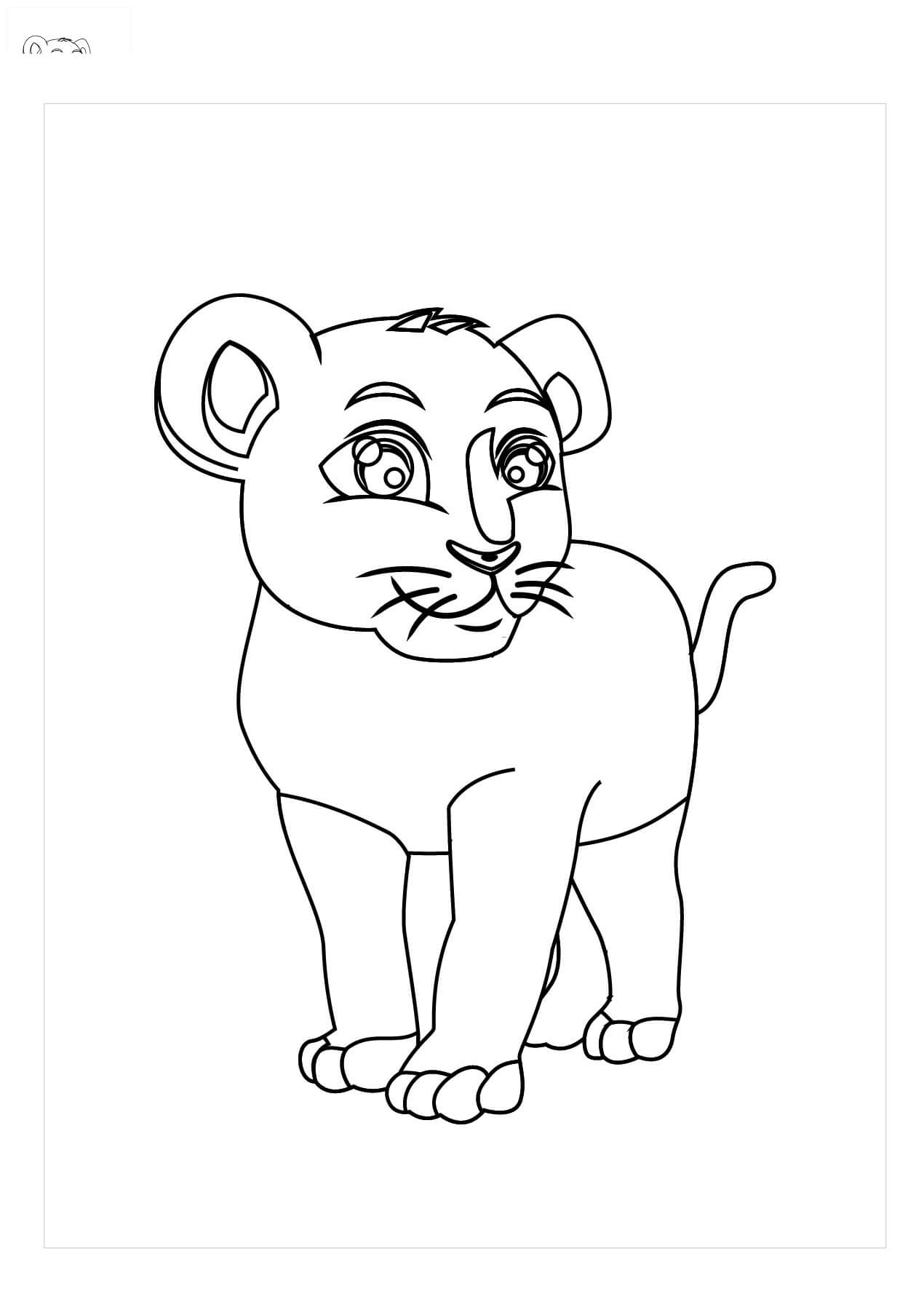 Bebé Puma