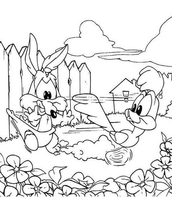 Bebé Road Runner y Bebé Wile E. Coyote