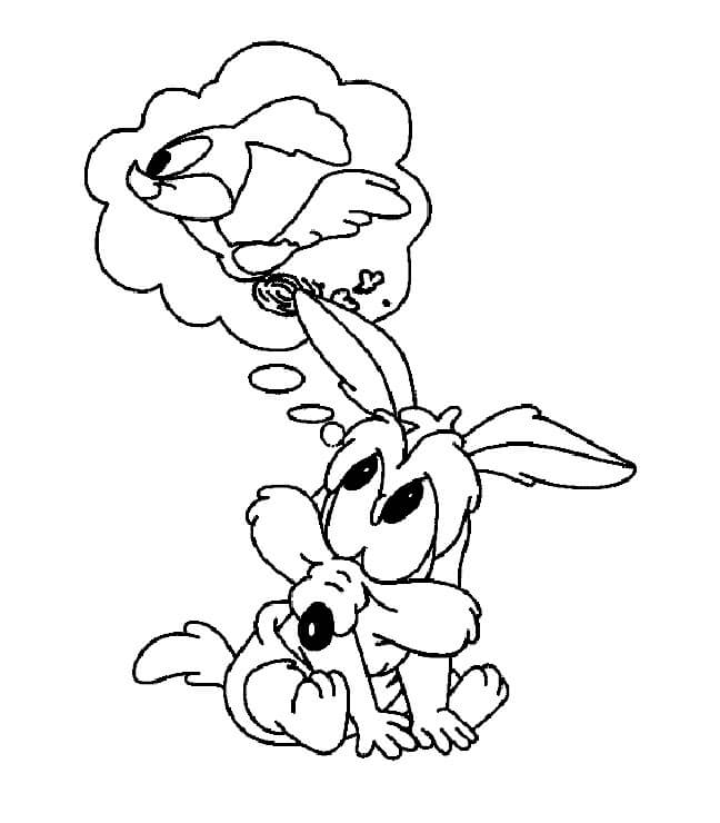 Bebé RoadRunner y Bebé Wile E. Coyote Lindos