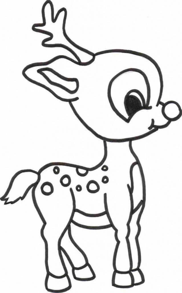 Bebé Rudolph