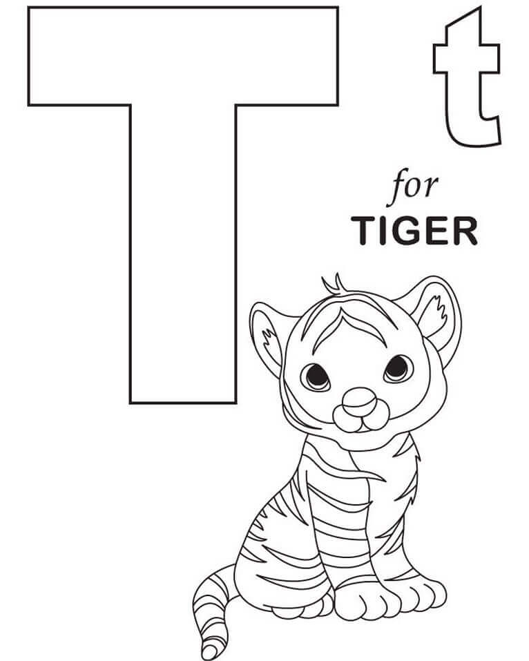 Bebé Tigre Letra T