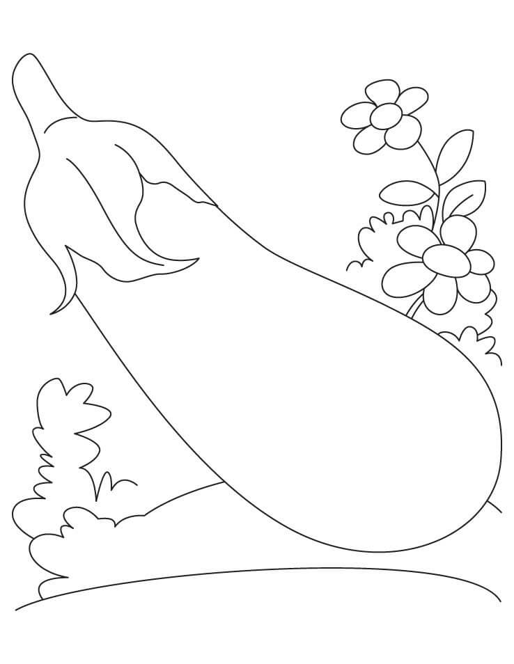 Berenjena con Flor