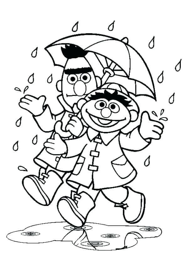 Bert y Ernie Lluvia