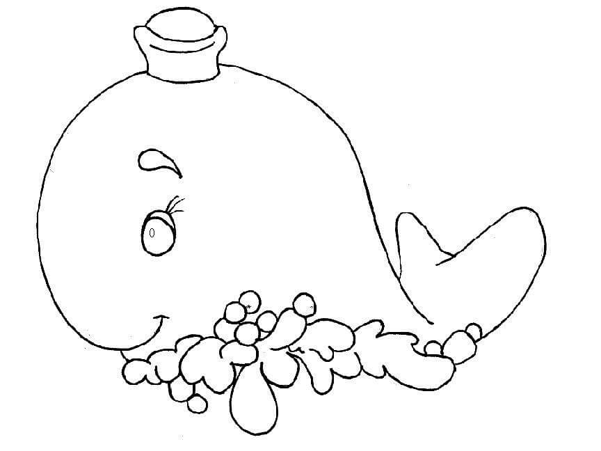 Bonita Ballena