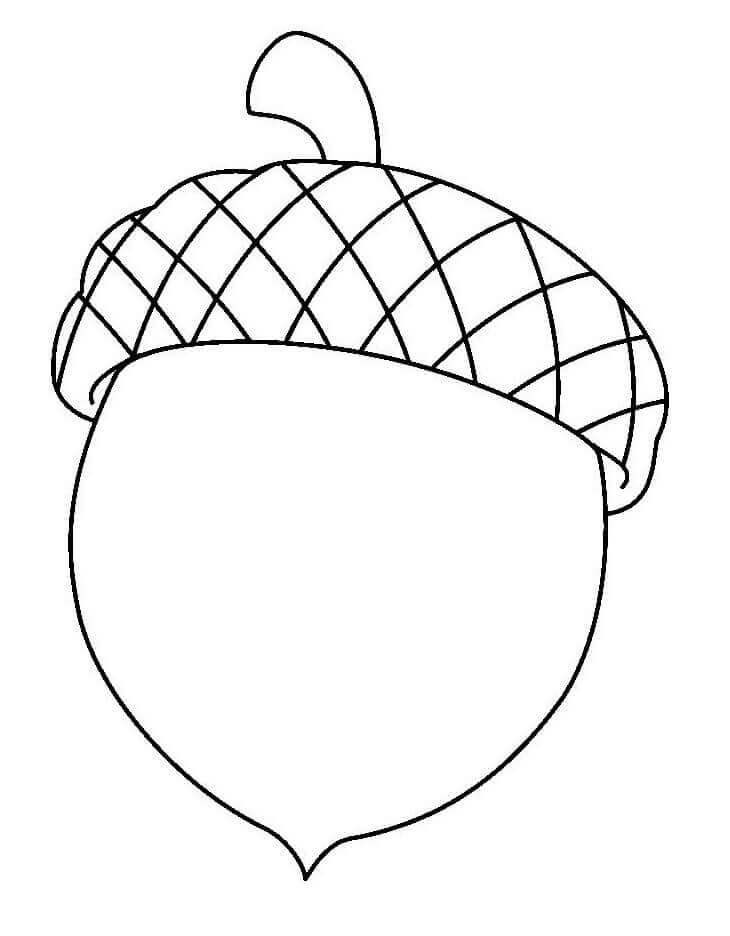 Bellota