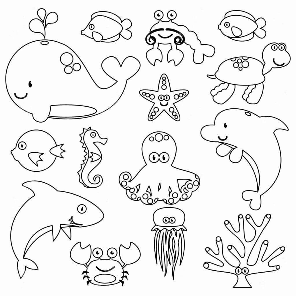 Bonito Animal Marino