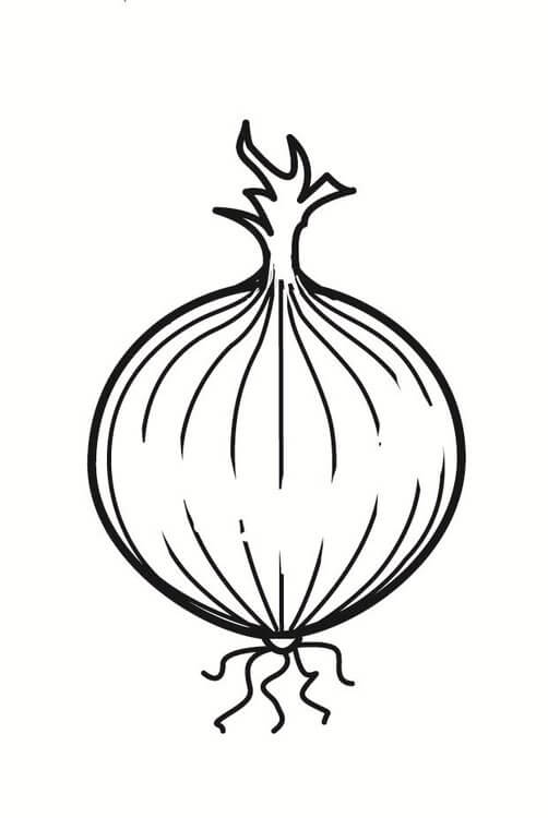 Bonito Cebolla
