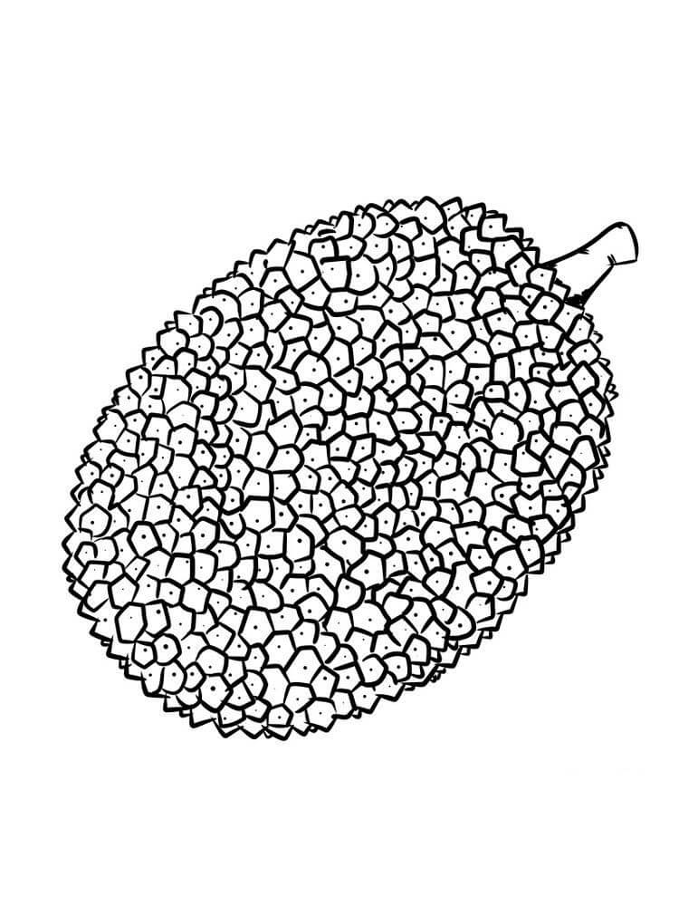 Bonito Durian