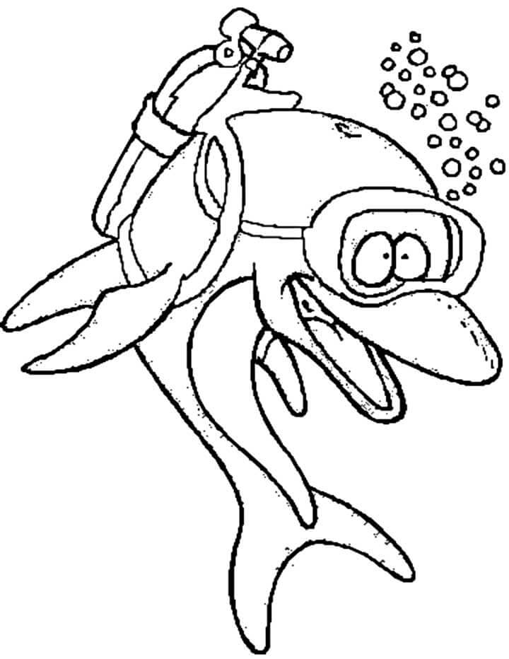 Buceador de Delfines