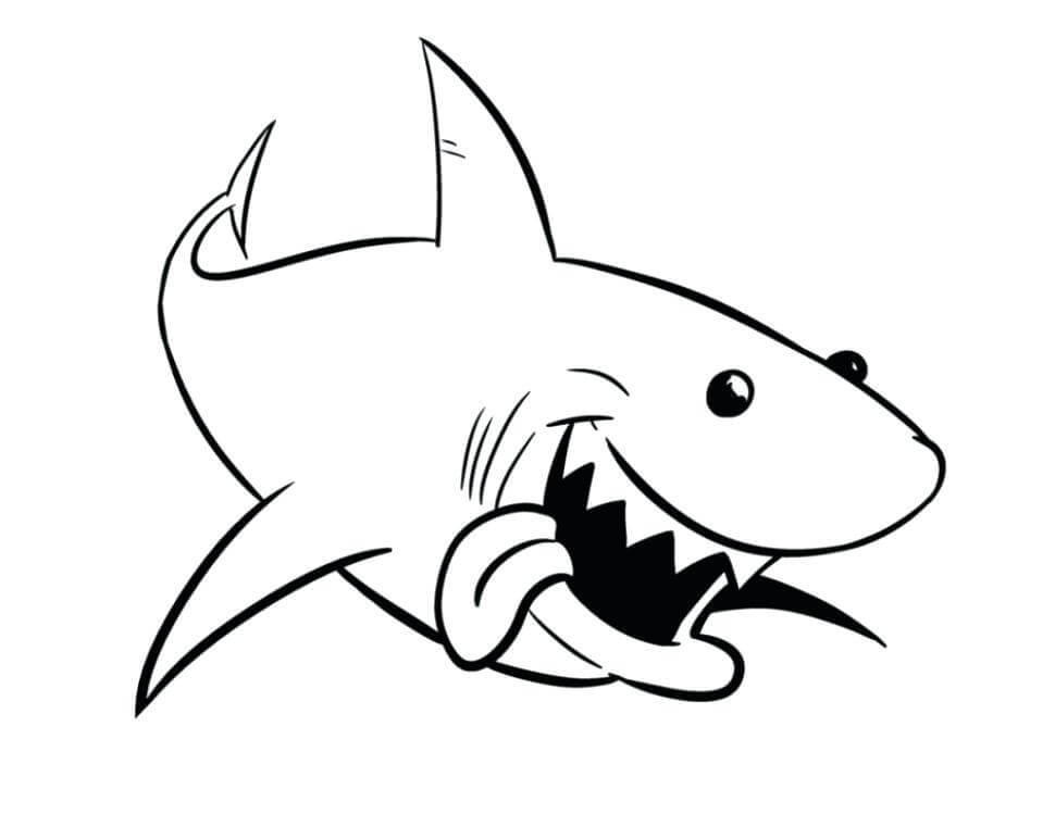 Buen Tiburón