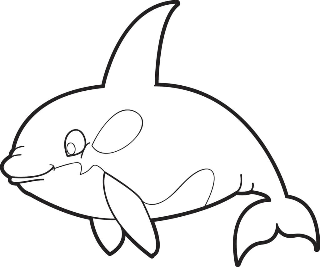 Buena Ballena