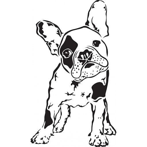 Buenos Bulldogs