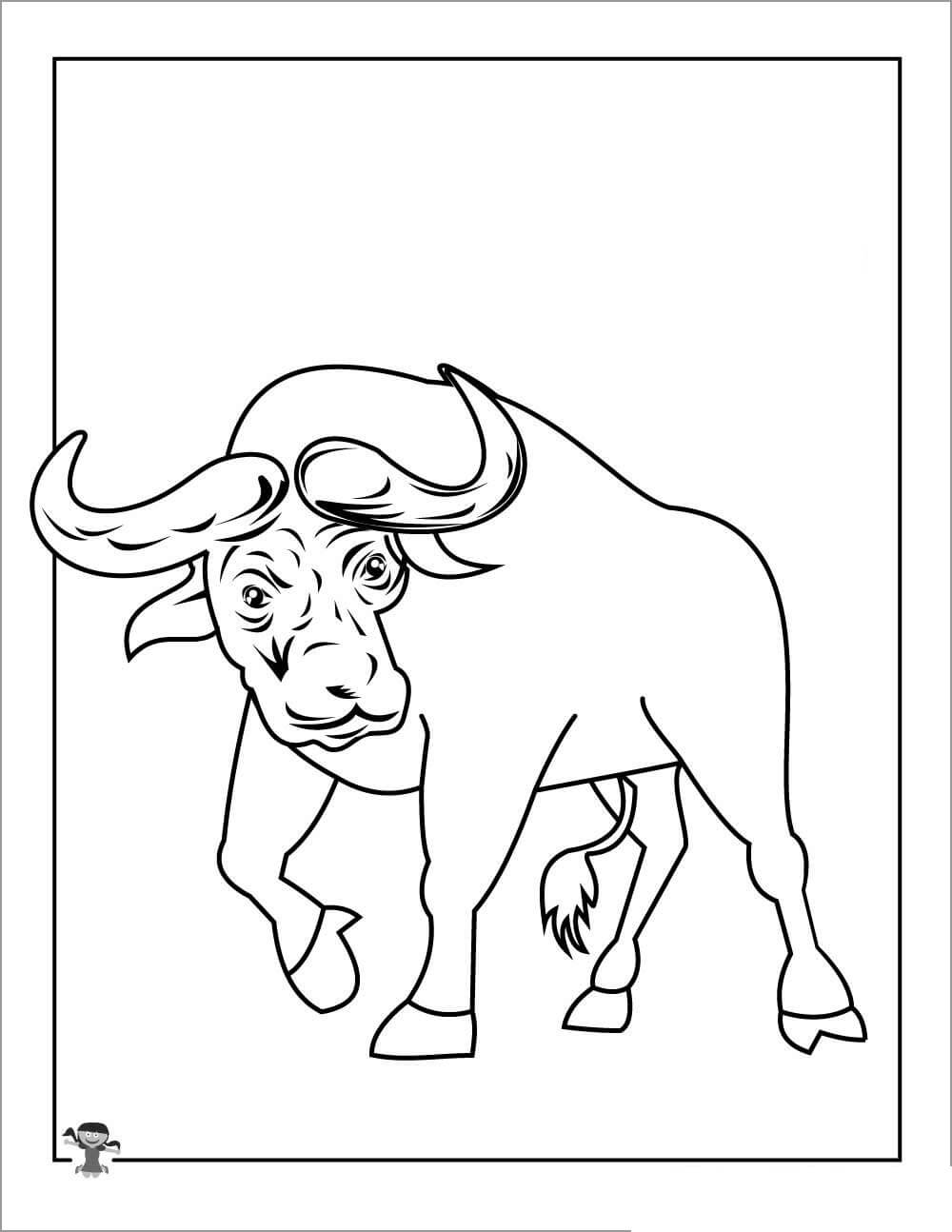 Búfalo Africano