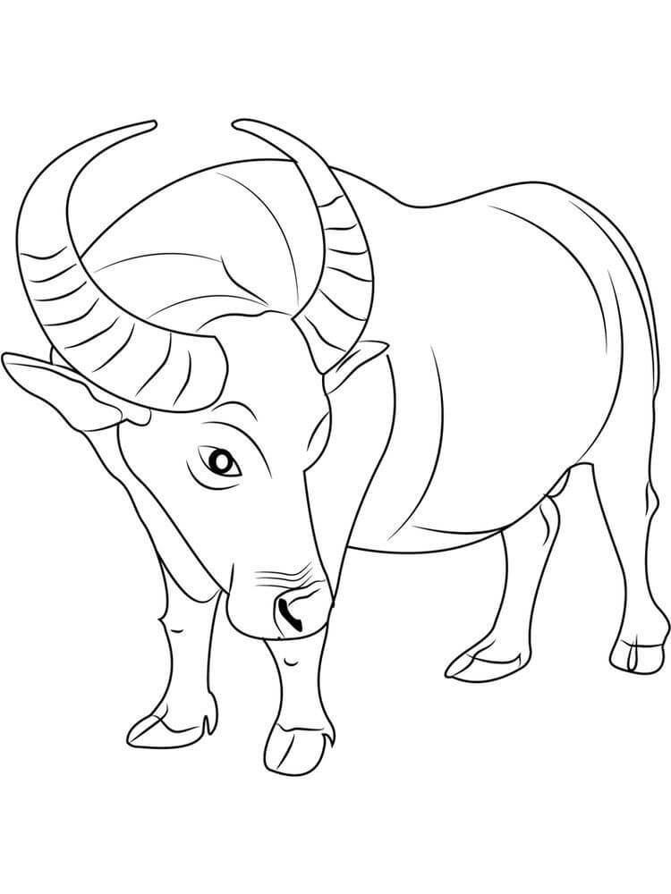 Búfalo Normal
