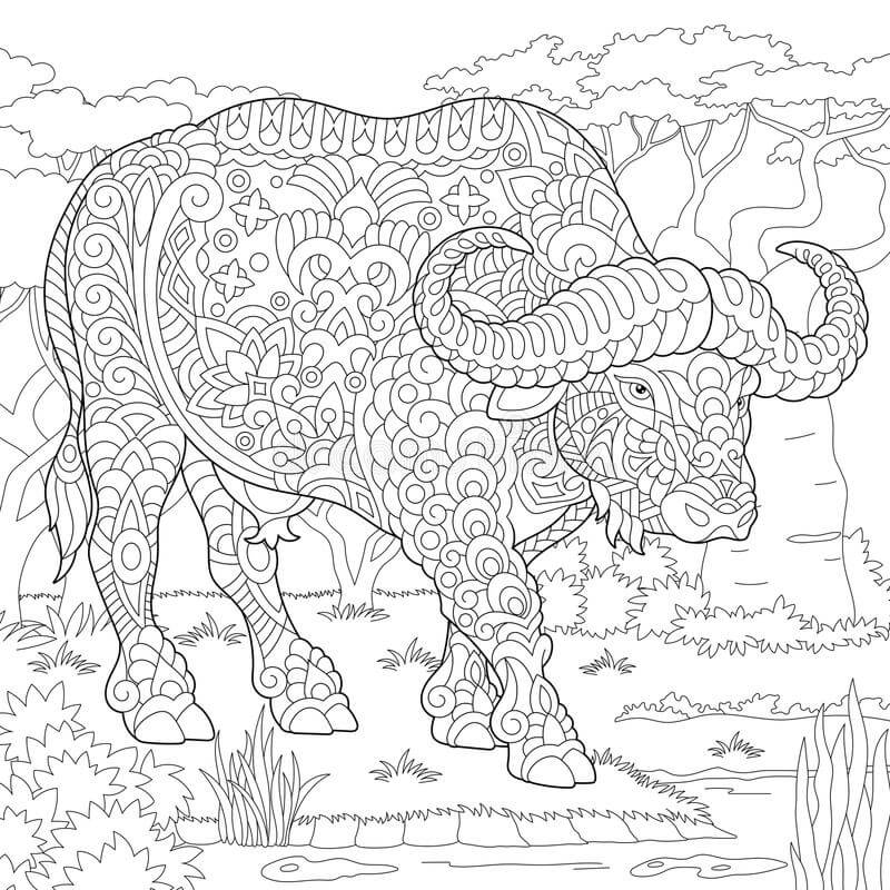 Búfalo Zentangle