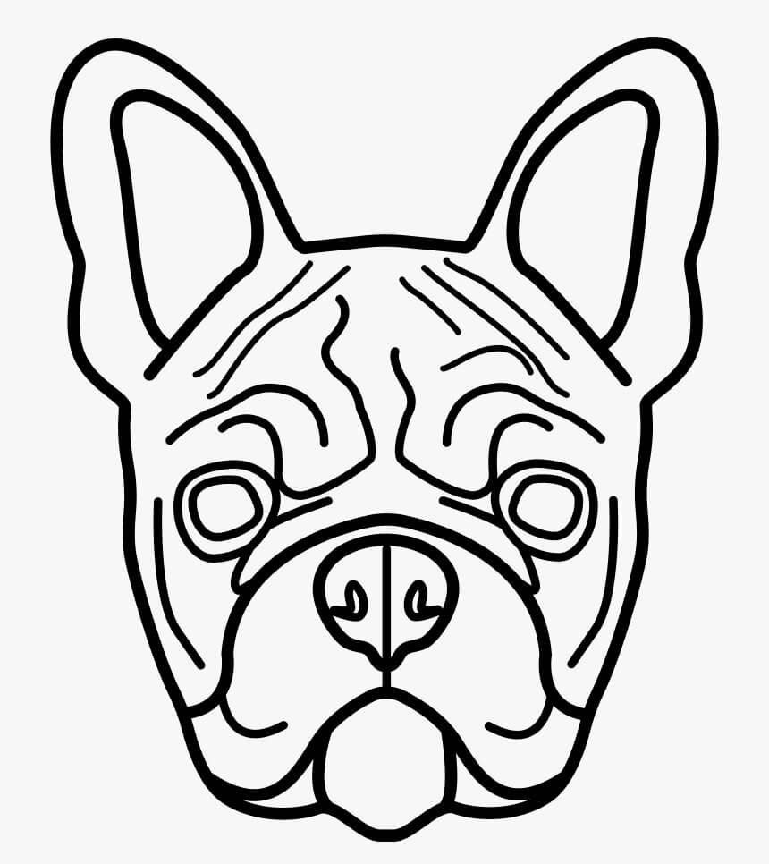 Bulldog Cabeza